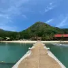 Image of Seaplane Tours