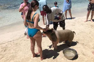 Tour image of Swimming Pigs Half Day Charter on Cruisin Tiki Bar Boat 8 persons