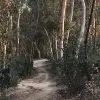 Image of Mountain Bike Tours