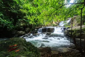 Tour image of Off Road Safari Khao Lak