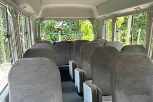 Tour image of Tikal Private Tour from Flores Guatemala with Transportation