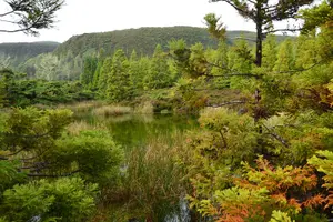 Tour image of Mistérios Negros Hiking Trail - Terceira Azores