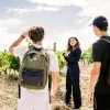 Image of Wine, Beer & Spirits
