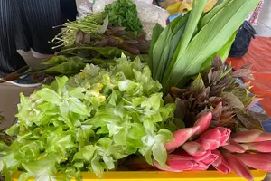 Tour image of Indigenous Home Cooking Class with Market Tour
