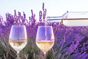 Tour image of Provence Small Group Wine Full Day Tour in Chateauneuf du Pape vineyard from Aix