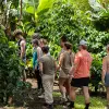 Image of Cultural Tours