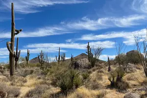 Tour image of 1-2 Hour Sonoran Desert Private Guided Hiking Tour