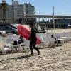 Image of Surfing Lessons