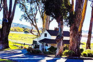 Tour image of Carmel by the Sea: A Self-Guided Driving Audio Tour