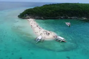 Tour image of Whale Shark Encounter & Sumilon Sandbar & Canyoneering in Kawasan Falls