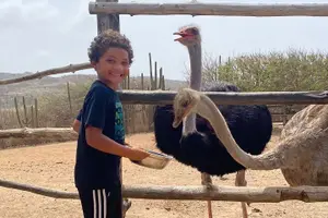 Tour image of Aruba Ostrich Adventures Entrance Ticket and Unique Tour