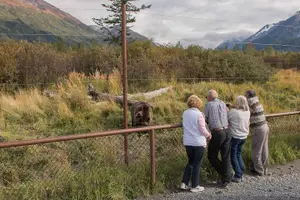 Tour image of Glaciers and Wildlife: Super Scenic Day Tour from Anchorage