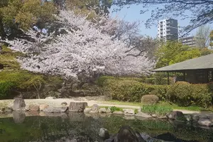 Tour image of Osaka's Best and Brightest by Private Vehicle