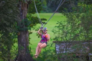 Tour image of Thrilling Zipline Adventure at Bocawina Rainforest