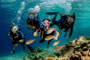 Tour image of Bodrum Scuba Diving Tour With Free Hotel Transfer By Locals