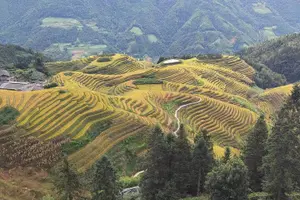 Tour image of Private Day Tour: Longji Rice Terraces and Long Hair Village