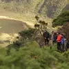 Image of Hiking Tours