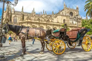Tour image of It is a company that offers complete solutions in passenger transport.