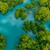 Image of Eco Tours