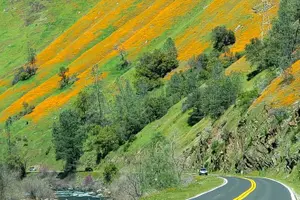 Tour image of Hwy 140 Route Glacier Point and Yosemite Valley Small Group Tour