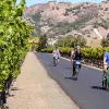 Image of Mountain Bike Tours