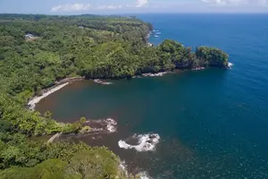 Tour image of Akaka Falls Tour - Volcanoes National Park and Hilo Discovery