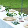 Image of Lunch