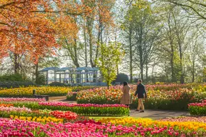 Tour image of From Amsterdam: Keukenhof Guided Tour with Roundtrip Transfers