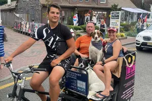 Tour image of Private Open- Air Pedicab Tour in Provincetown