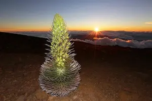 Tour image of Haleakala Maui Sunset Twilight Tour with Dinner