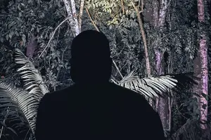 Tour image of Secret Night Walk in Puerto Jimenez