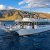 Image of Dinner Cruises