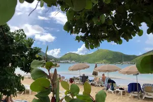Tour image of CAPTAIN ALAN'S 4hr -3 Islands-snorkeling-turtles-beach ADVENTURE