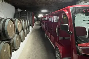Tour image of Cricova Cellars - Visit and tasting session