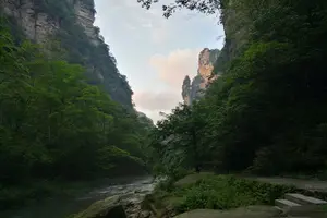 Tour image of Private Hiking DayTour in Zhangjiajie National Park,Avatar Mountain+Bailong Lift