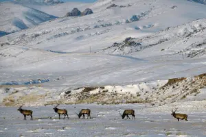 Tour image of The Land Of Eagle Hunters