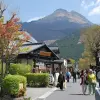 Image of Nature and Wildlife Tours