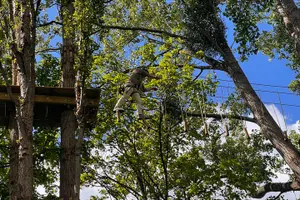 Tour image of Treetop adventure course in the heart of Rouen