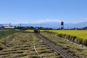 Tour image of eTour de Matsumoto - Private Electric Bike Tour