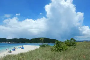 Tour image of 1day kayak tour in Kerama Islands and Zamami Island