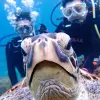 Image of Freediving