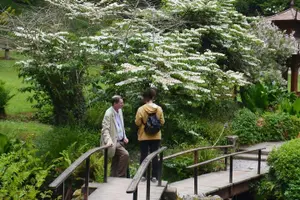 Tour image of Full Day Private Wicklow Tour