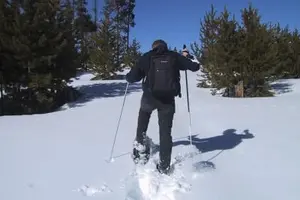 Tour image of Snowshoeing Excursion in Annecy