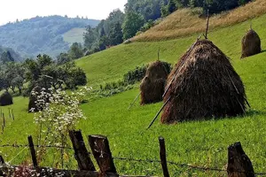 Tour image of 4x4 Nature Tour in Land of Dracula - 1 day