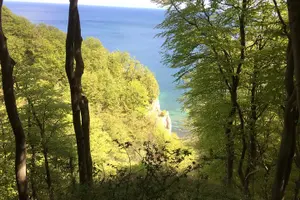 Tour image of Møns klint and The Forest tower - A day tour from Copenhagen