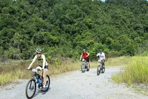 Tour image of 3-in-1 Ultimate Borneo Expedition Adventure