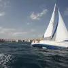 Image of Sightseeing Cruises