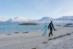 Tour image of Arctic Roadtrip: fjords with scenic picnic | Sightseeing