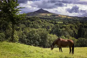 Tour image of Dublin to Powerscourt, Wicklow and Glendalough Small Group Tours