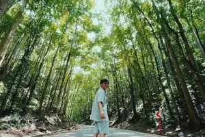 Tour image of Bohol Full Day Waterfall & Countryside Scooter Tour